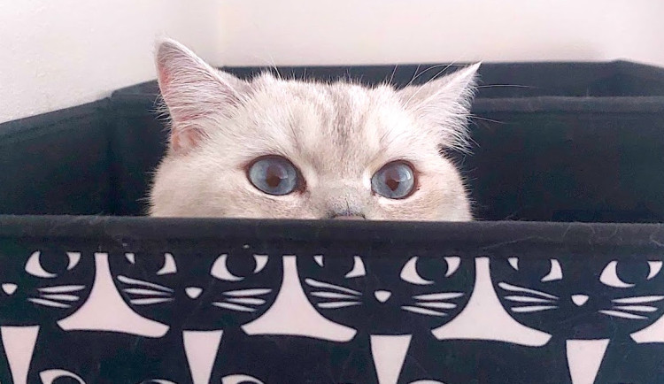 Z mého deníku: Poslední zápis