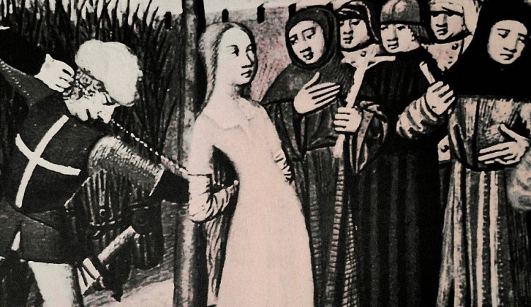 Že by měla modrou krev?