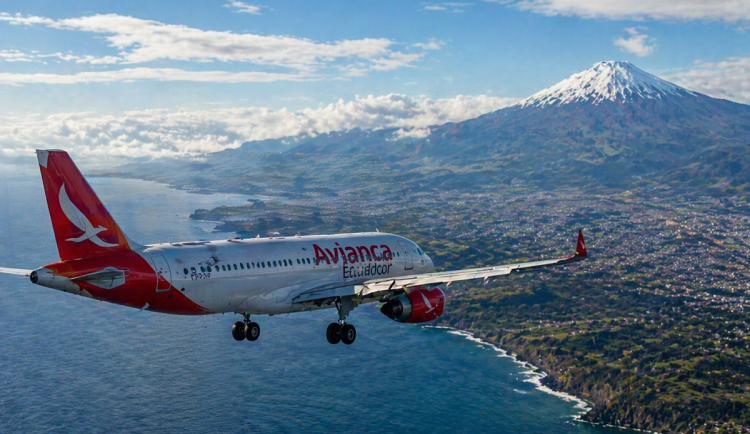 Život je kolotoč: Trapasy a potlesky