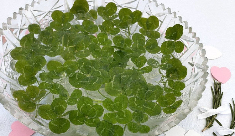 Jak to bylo v létě