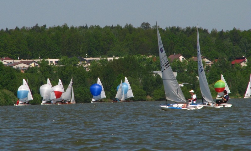 modra stuha bezdreva