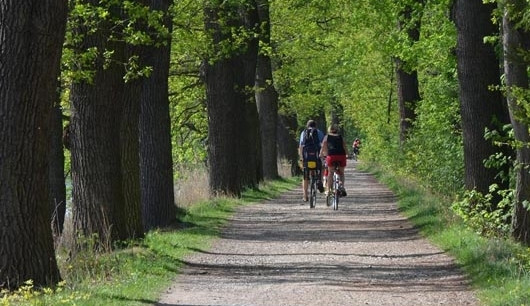 Patnáctiletý řidič ujížděl strážníkům, ti ho ale dostihli