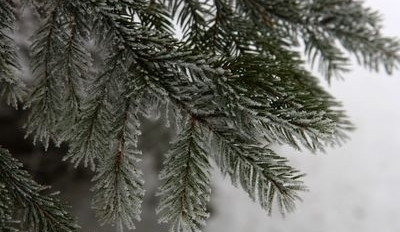 Na Šumavě v noci mrzlo, naměřili tam až minus čtyři stupně