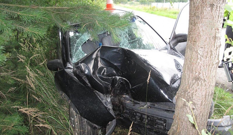 Policisté hledají svědky vážné nehody u Borovan