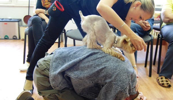 Čtyřnozí miláčci nedělají pouze radost, ale i léčí