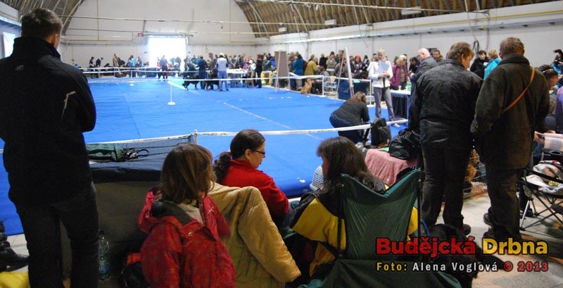 Ve dvou budovách soutěžily různé kategorie