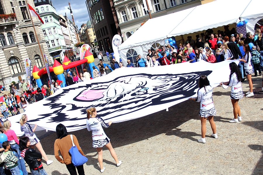 Tygří den 2012. Foto: Bílí Tygři