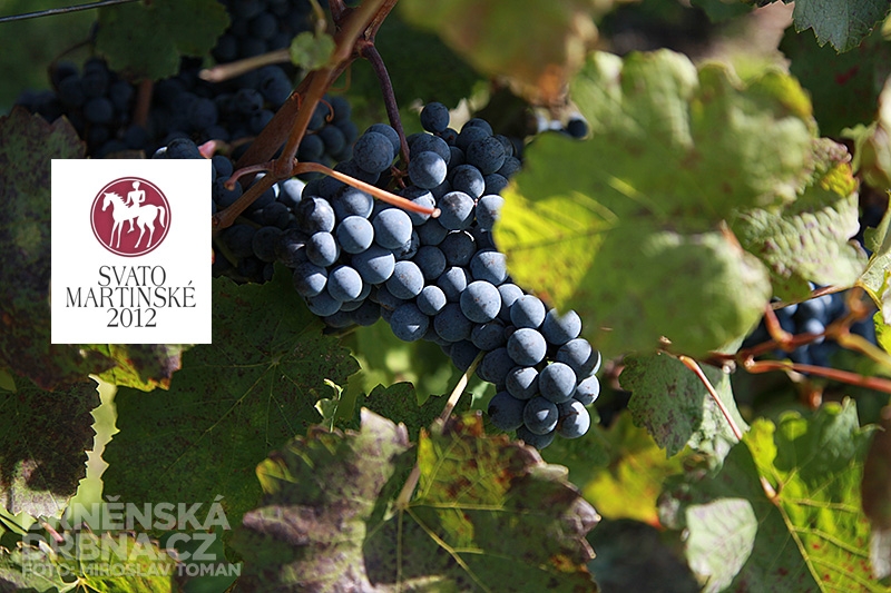 Ilustrační foto, foto: Brněnská Drbna