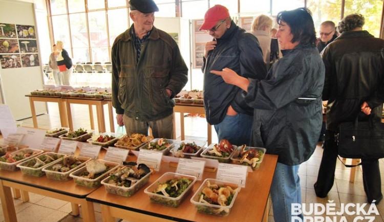 Hobby podzim láká zahrádkáře, houbaře i sběratele