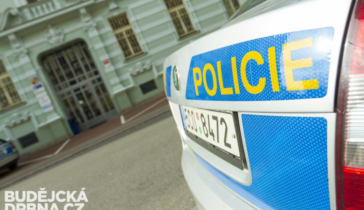 Otec a syn Pořádkových zachránili už tři životy