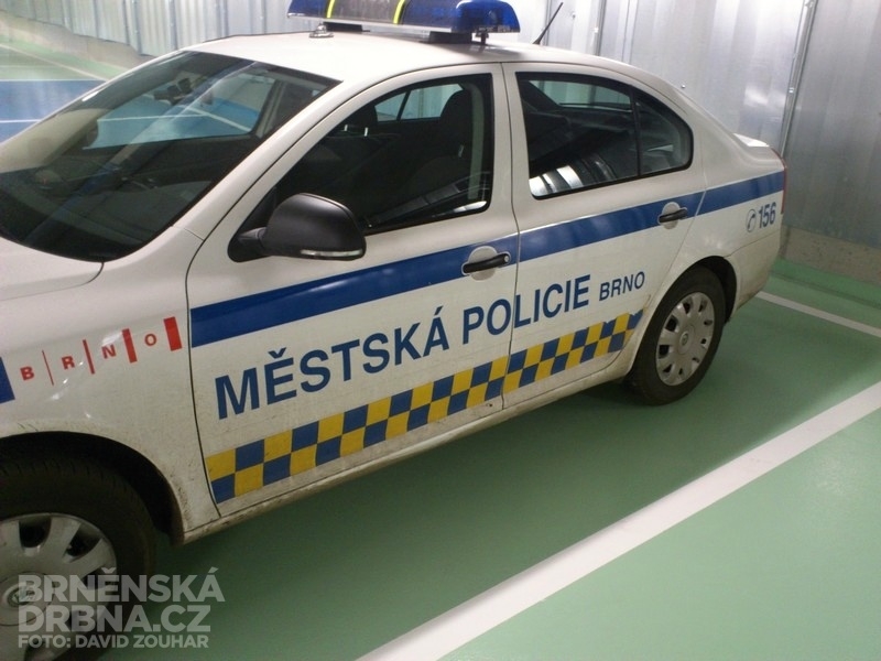 Ilustrační foto, foto: Brněnská Drbna, David Zouhar