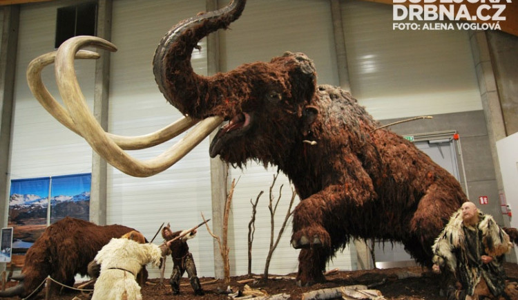 Některé modely zvířat z doby ledové unesete v ruce