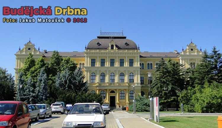 Geolog Jihočeského muzea objevil stromy z třetihor