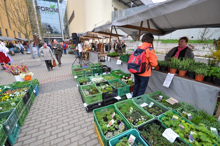 Slavnostní zahájení farmářských trhů proběhlo v pátek. Foto: Jan Král