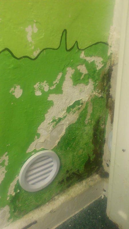 Mateřská škola Lvíček