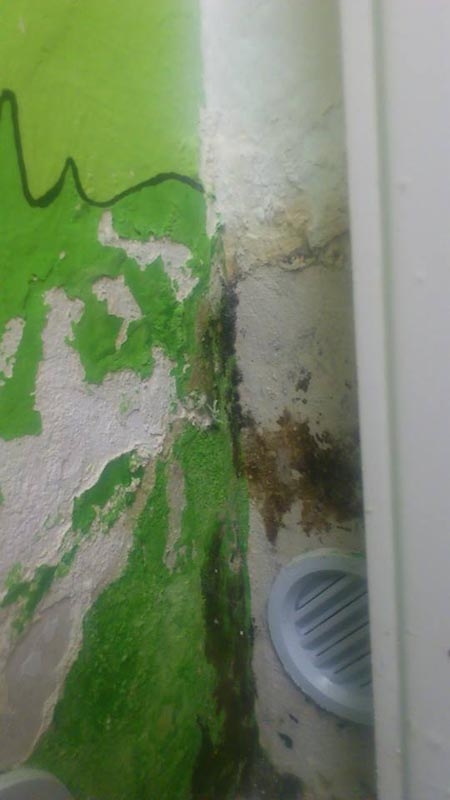 Mateřská škola Lvíček