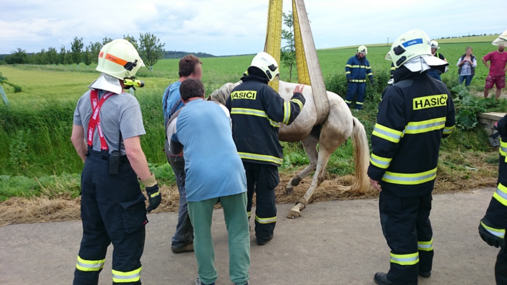 TP_senicka_5-6-20141