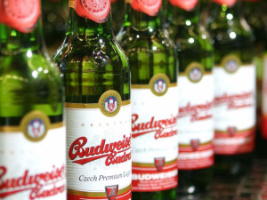 Měšťanský pivovar neuspěl ve sporu o známku Budweiser