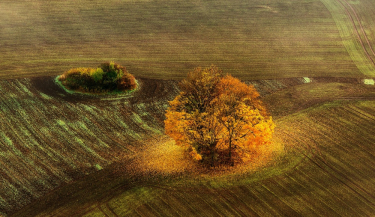 Ilustrační fotografie