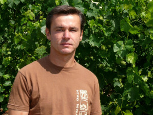 Podmínky pro pěstování vína v Praze se přibližují těm moravským