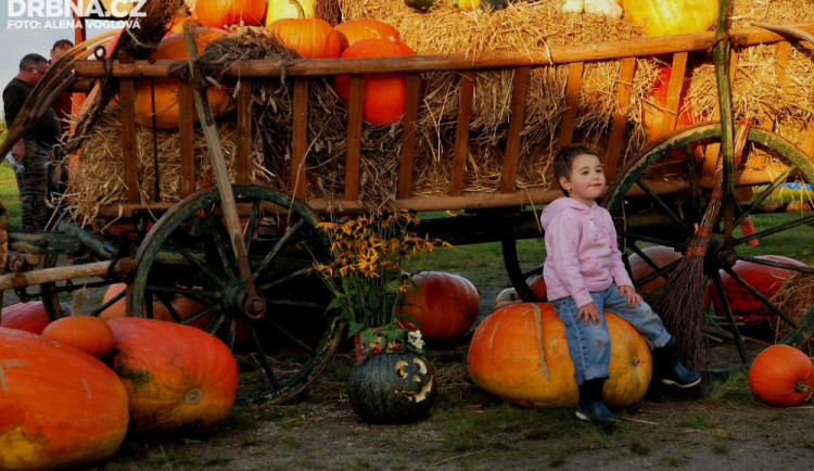 Na prvním Šalmanovickém dýňobraní se podílela celá vesnice