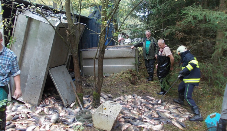Náklaďák vyklopil do příkopu několik metráků ryb
