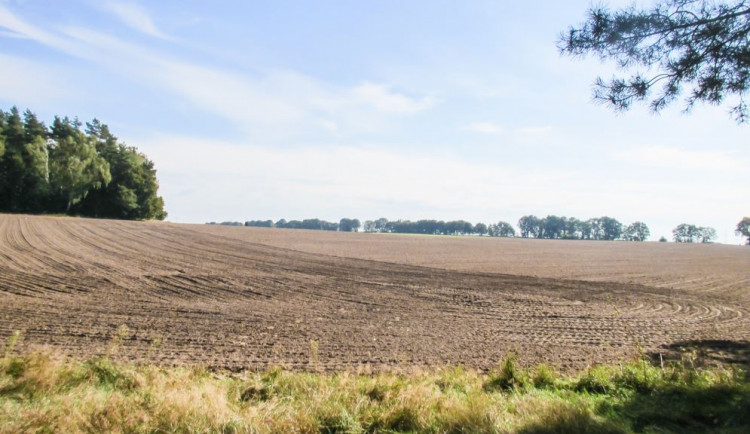 Ilustrační fotografie