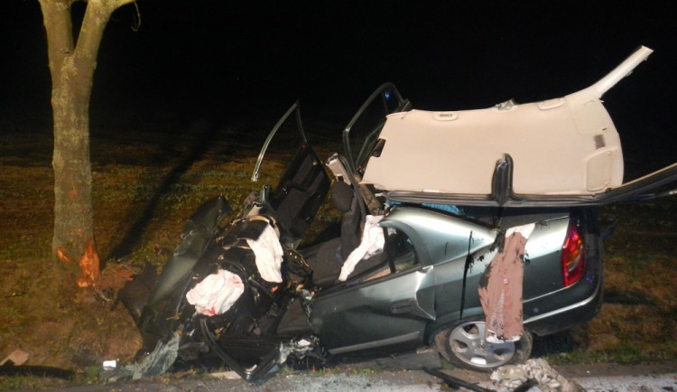 Noční jízdu do Budějc ukončil strom. Řidič usnul