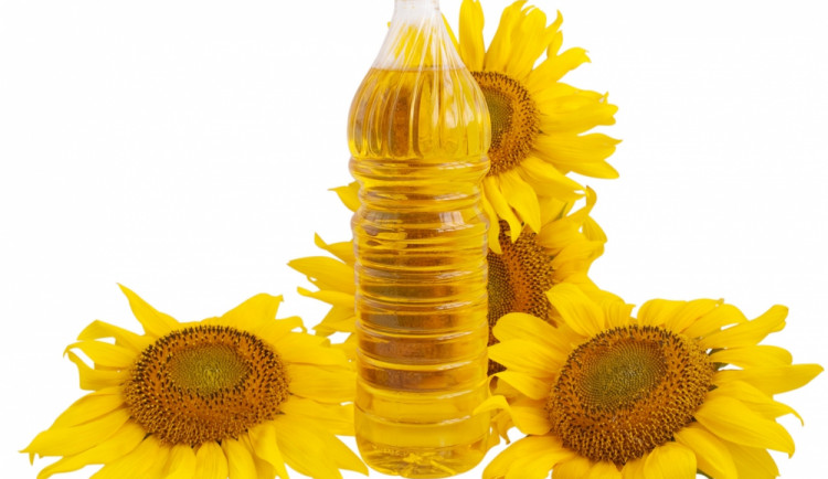 Ilustrační fotografie