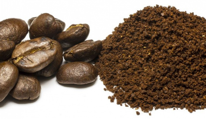 Ilustrační fotografie