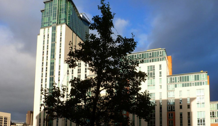 Ilustrační fotografie