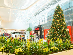 Vánoce v obchodním centru: Noční nákupy, koledy, charita i netradiční akce