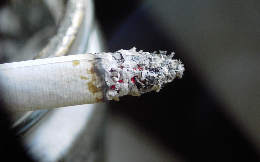 Ilustrační fotografie