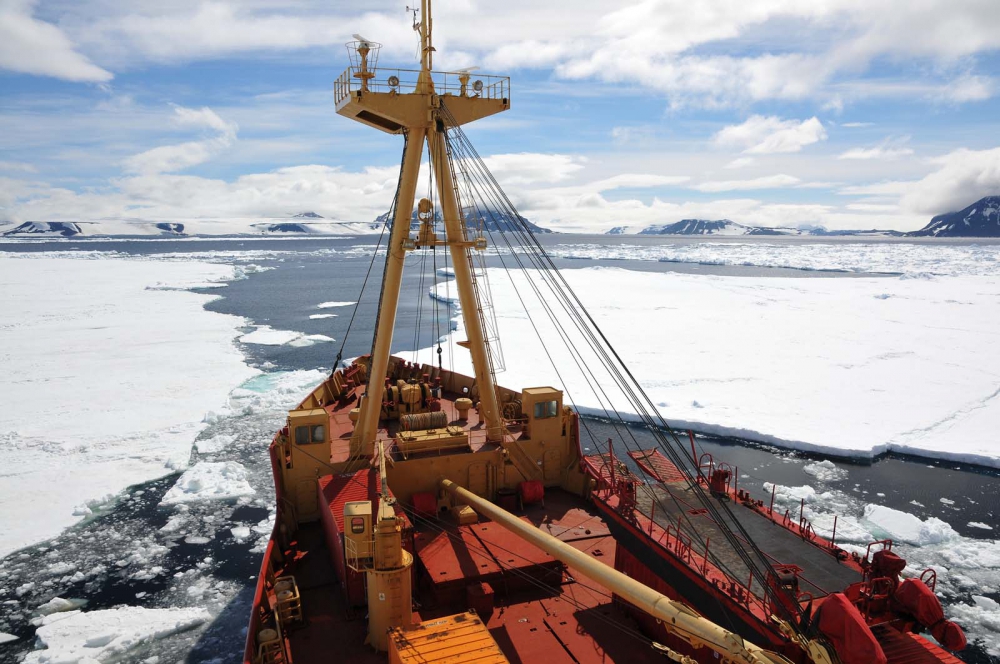 Vědci se v Antarktidě tentokrát zaměří na tučňáky