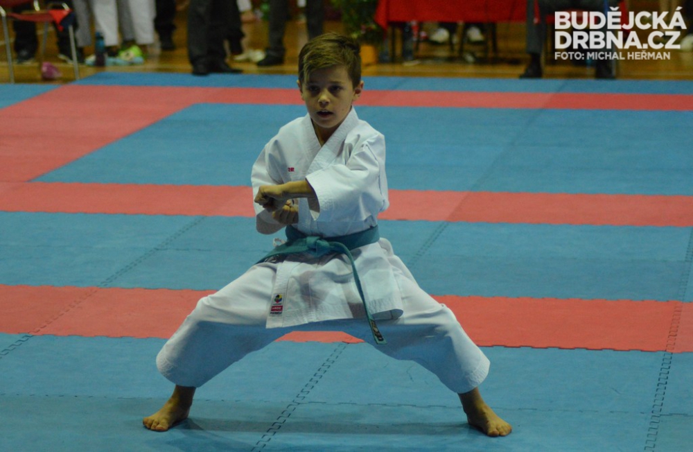 Mistrovství České republiky mládeže v karate v Českých Budějovicích