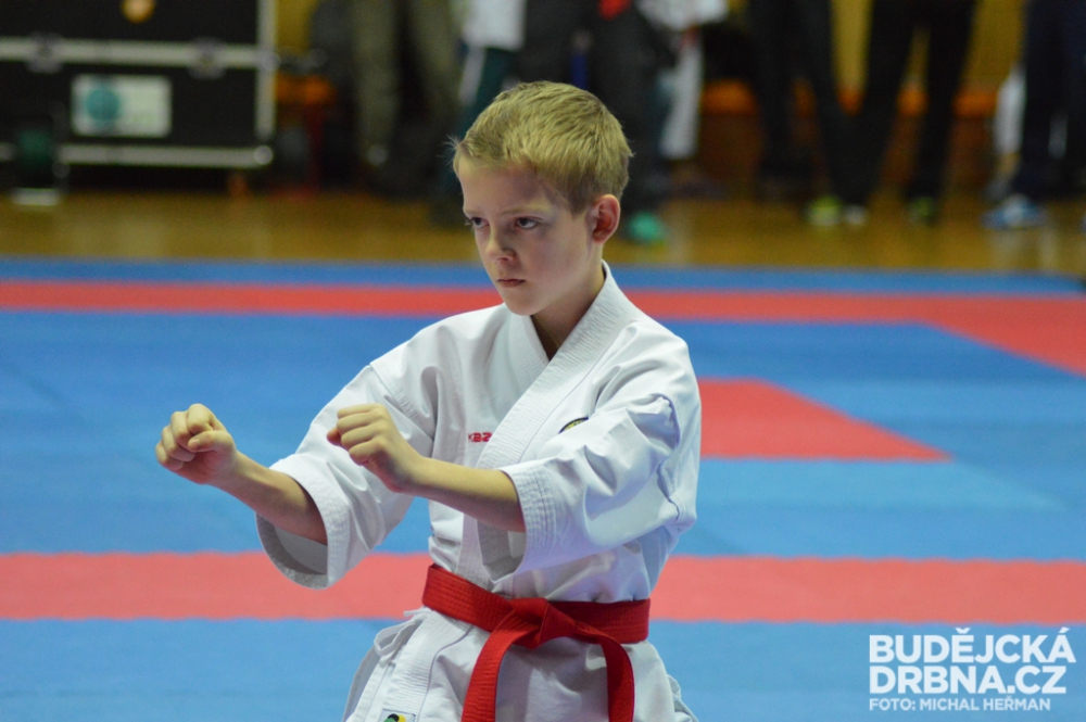 Mistrovství České republiky mládeže v karate v Českých Budějovicích