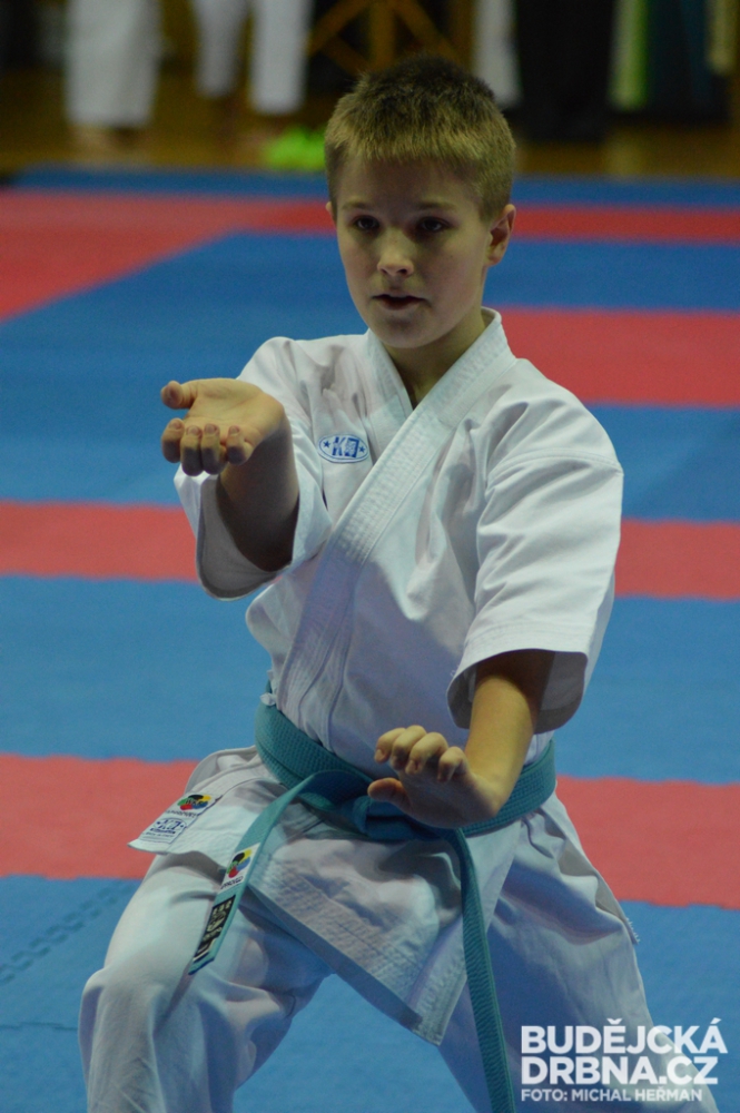 Mistrovství České republiky mládeže v karate v Českých Budějovicích