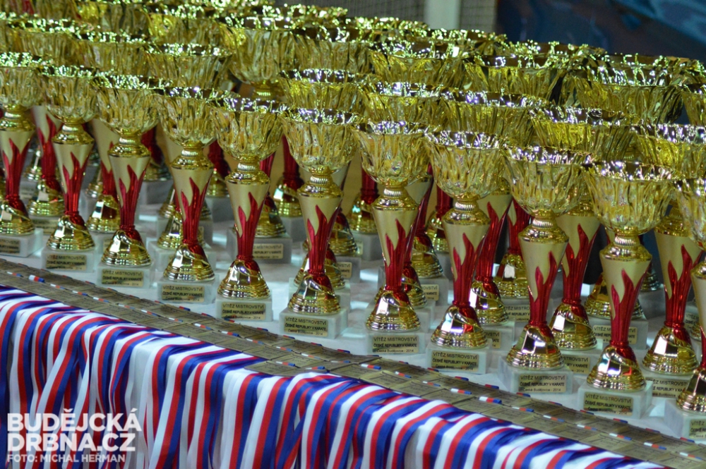 Mistrovství České republiky mládeže v karate v Českých Budějovicích