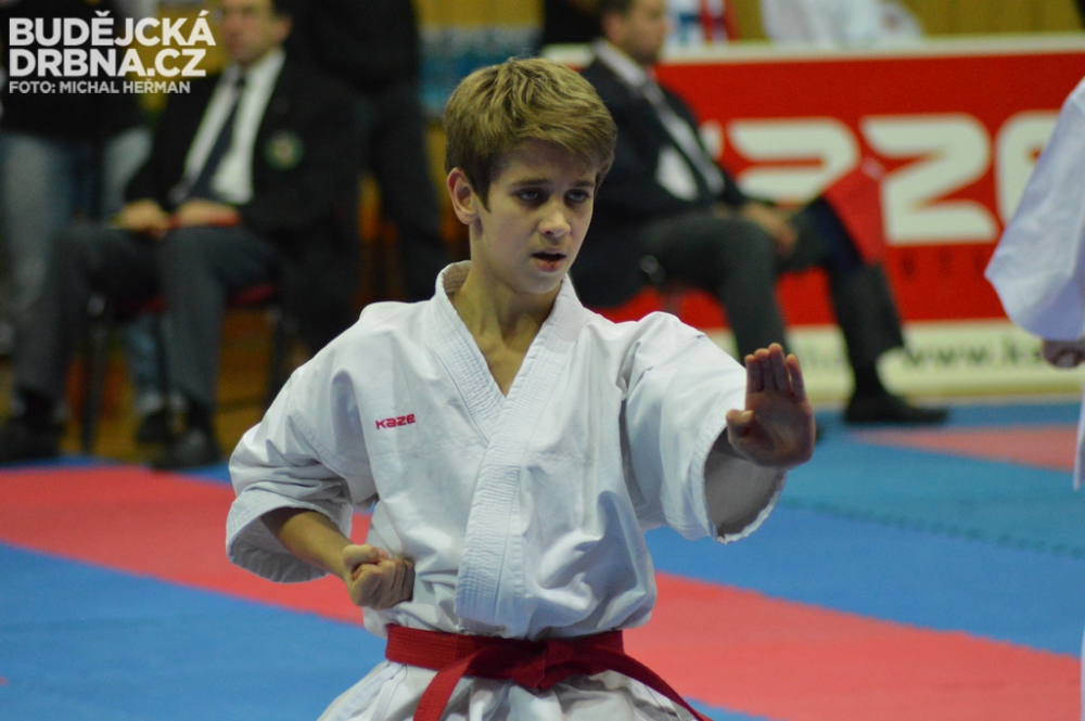 Mistrovství České republiky mládeže v karate v Českých Budějovicích