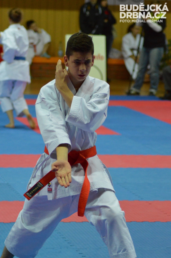 Mistrovství České republiky mládeže v karate v Českých Budějovicích