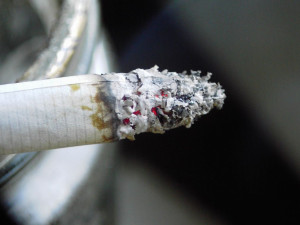 O fajčení a rozdielnom vplyve ceny a statusu na zdravotný stav