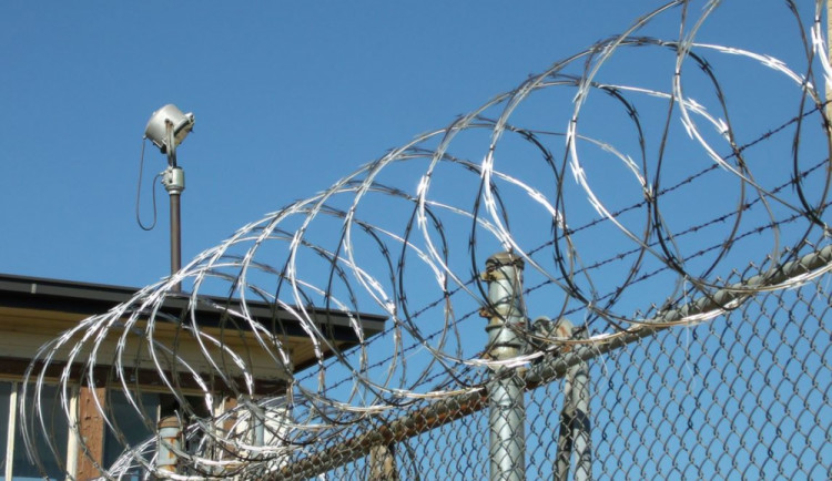 Ilustrační fotografie