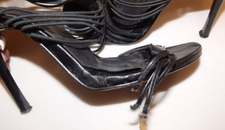 Ilustrační fotografie