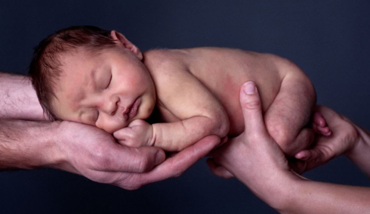 Autorka: Tereza Lišková