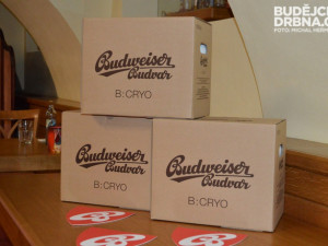 Budweiser Budvar B:Cryo