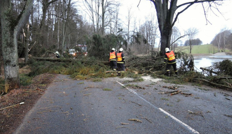 Ilustrační fotografie