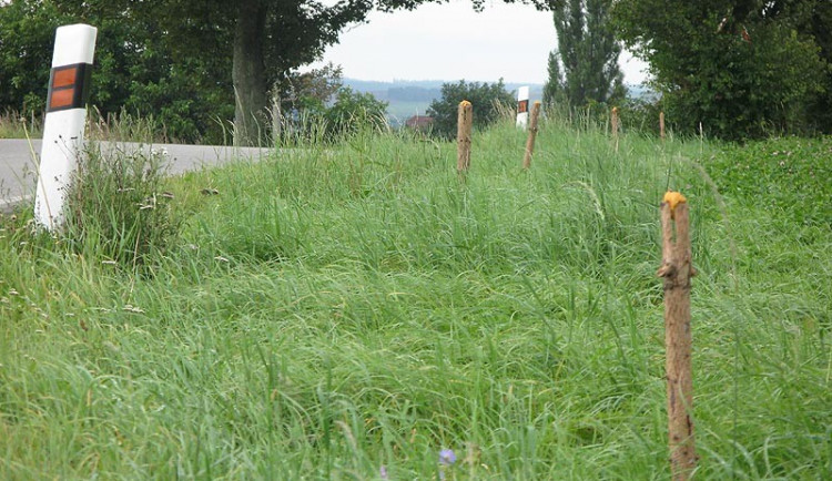 Kraj přispěje myslivcům na pachové ohradníky částkou 347 tisíc korun