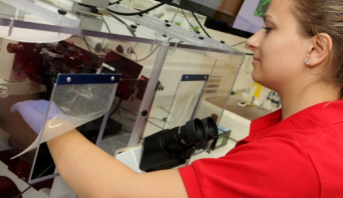 Ilustrační fotografie