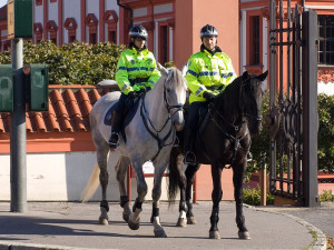 Policie potřebuje na 4000 nových policistů 10,6 miliardy korun