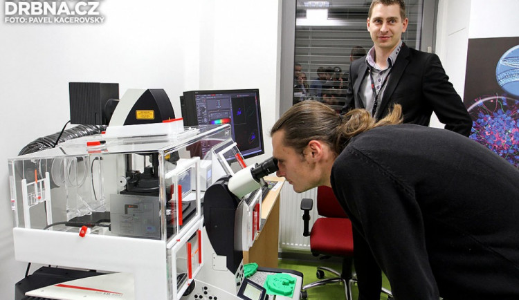 Ilustrační fotografie